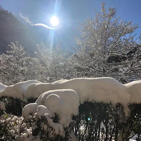 27 - Au Centre Vue Mont Blanc Et Jardin * 霞慕尼