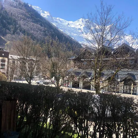 27 - Au Centre Vue Mont Blanc Et Jardin アパート