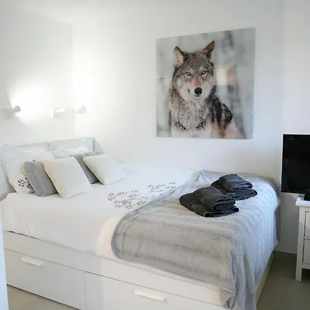 27 - Au Centre Vue Mont Blanc Et Jardin Apartman *