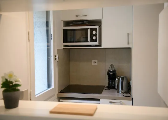 27 - Au Centre Vue Mont Blanc Et Jardin