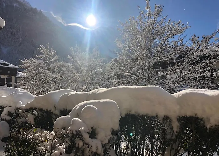 27 - Au Centre Vue Mont Blanc Et Jardin * Chamonix