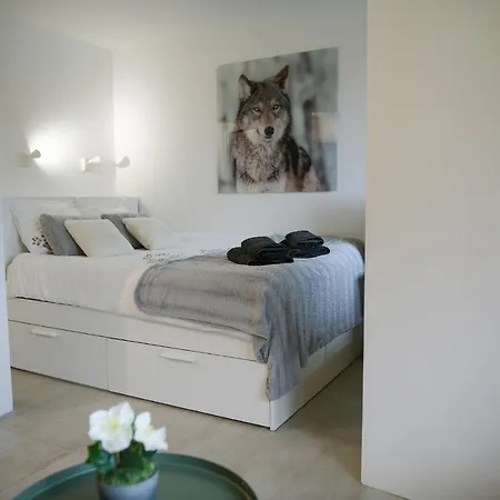 27 - Au Centre Vue Mont Blanc Et Jardin Апартаменты