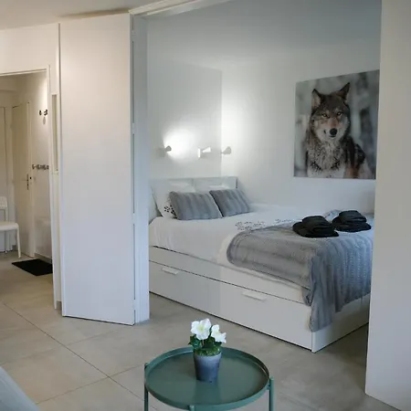 27 - Au Centre Vue Mont Blanc Et Jardin Апартаменты *