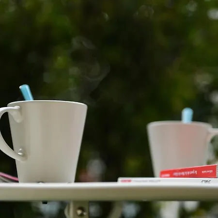 27 - Au Centre Vue Mont Blanc Et Jardin * Шамони