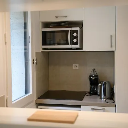 27 - Au Centre Vue Mont Blanc Et Jardin