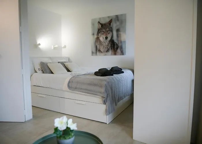 27 - Au Centre Vue Mont Blanc Et Jardin Appartement