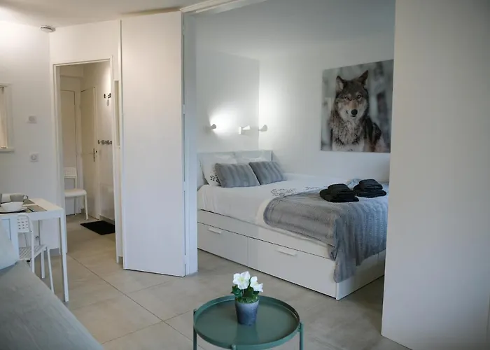 27 - Au Centre Vue Mont Blanc Et Jardin Appartement *