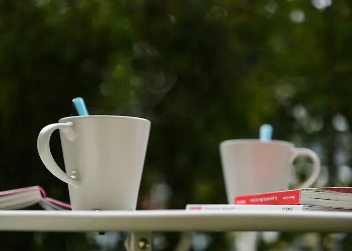 27 - Au Centre Vue Mont Blanc Et Jardin * Chamonix