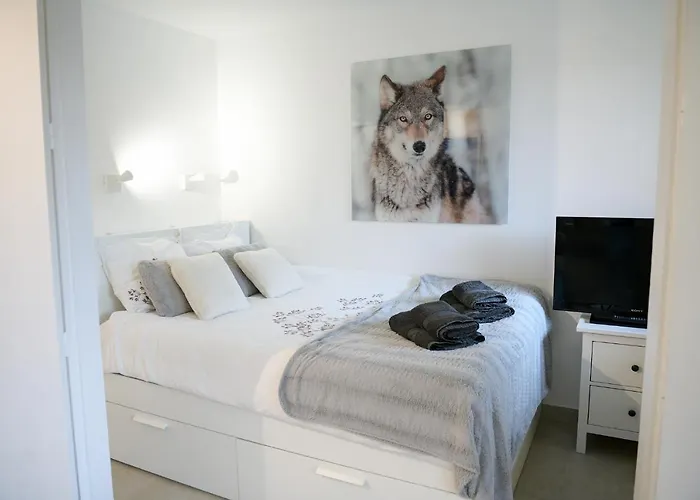 27 - Au Centre Vue Mont Blanc Et Jardin Appartement *